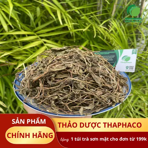 Bảng tóm tắt các đối tượng không nên dùng sài đất