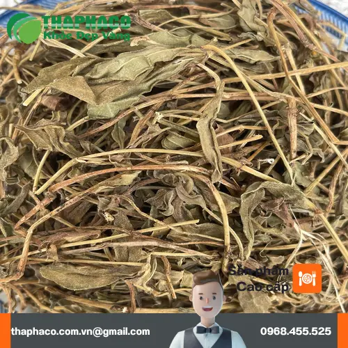 Sài Đất khô THAPHACO được làm sạch