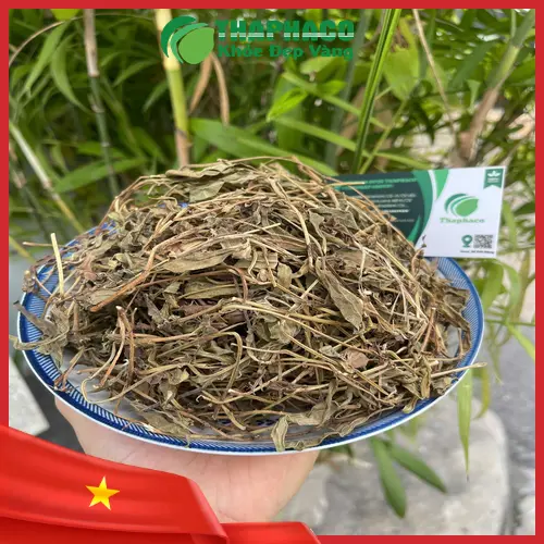 Người bệnh cần tham khảo ý kiến chuyên gia trước khi dùng sài đất