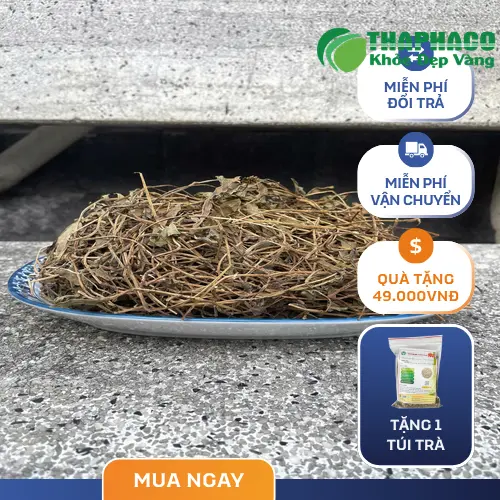 Hướng dẫn sử dụng Sài Đất khô
