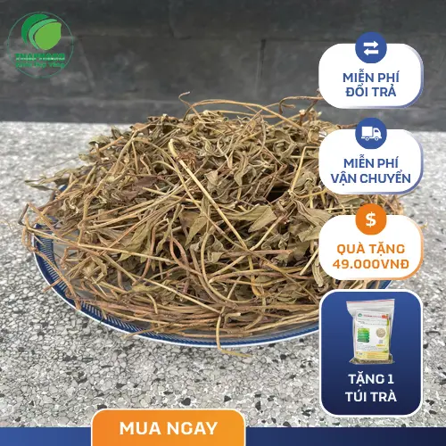 Sài Đất sấy khô đóng gói 1kg