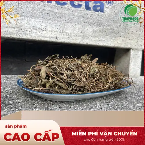 Địa chỉ mua Sài Đất khô uy tín THAPHACO