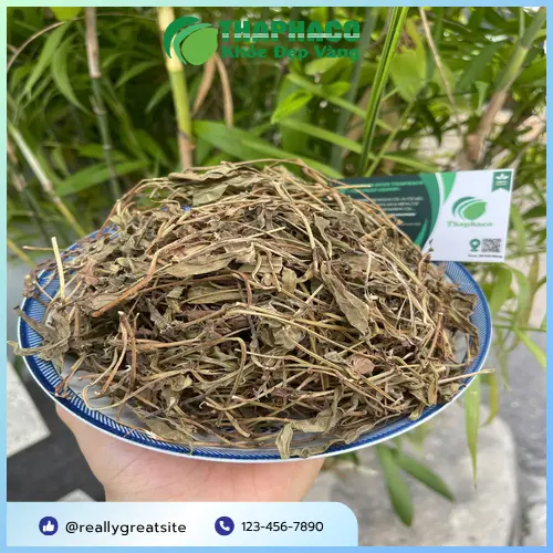 Các quy cách đóng gói Sài Đất sấy khô THAPHACO