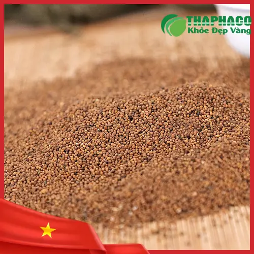 Phụ nữ mang thai cần thận trọng khi sử dụng Thỏ Ty Tử