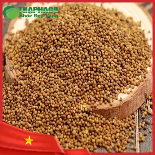 Hạt Thỏ Ty Tử đã được sơ chế và phơi khô