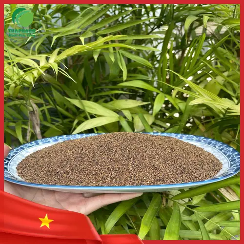 Phân biệt Thỏ Ty Tử và Dây Tơ Hồng