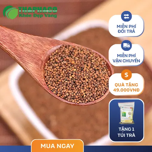 Cách dùng Thỏ Ty Tử khô hiệu quả