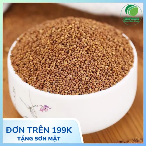 Thỏ Ty Tử thường được sắc nước uống hoặc tán bột