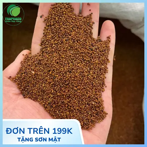 Giải đáp thắc mắc về Thỏ Ty Tử khô