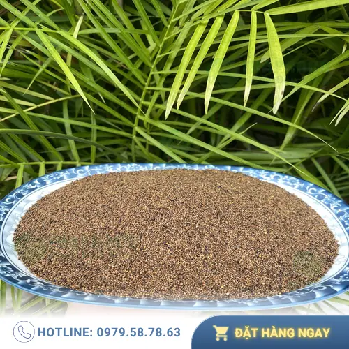 Thỏ Ty Tử tại THAPHACO được đóng gói kỹ lưỡng, đảm bảo chất lượng