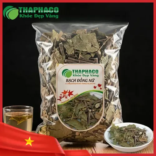 Hình ảnh cây Bạch Đồng Nữ và các đặc điểm nhận biết