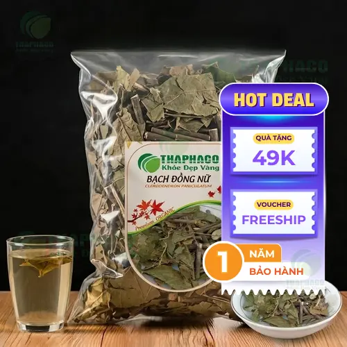 Hình ảnh cây Bạch Đồng Nữ toàn thân và lá