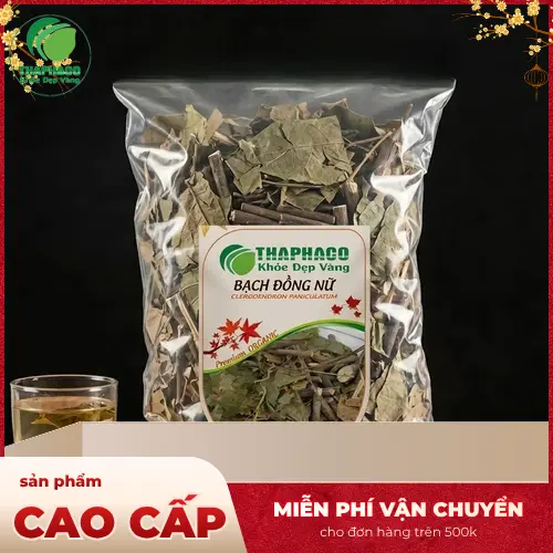 Bạch Đồng Nữ sấy khô chất lượng cao