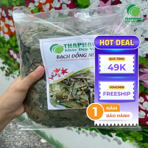 Công dụng hỗ trợ của Bạch Đồng Nữ