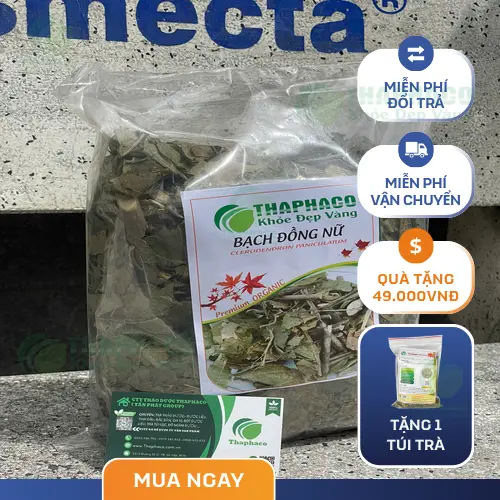 Hướng dẫn cách sắc nước Bạch Đồng Nữ để sử dụng
