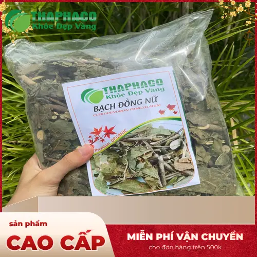 Bạch Đồng Nữ khô đã được sơ chế và phơi