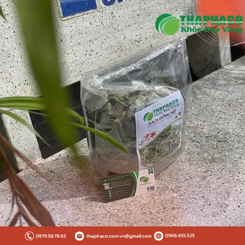 Sản phẩm Bạch Đồng Nữ khô đóng gói tại THAPHACO