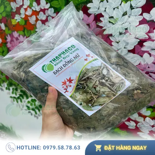 Liên hệ THAPHACO để mua bạch đồng nữ chất lượng