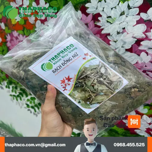 Địa chỉ mua Bạch Đồng Nữ sấy khô THAPHACO