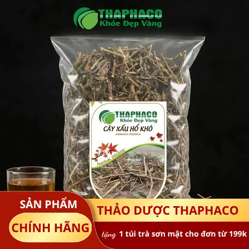 Cây xấu hổ khô chất lượng tại THAPHACO