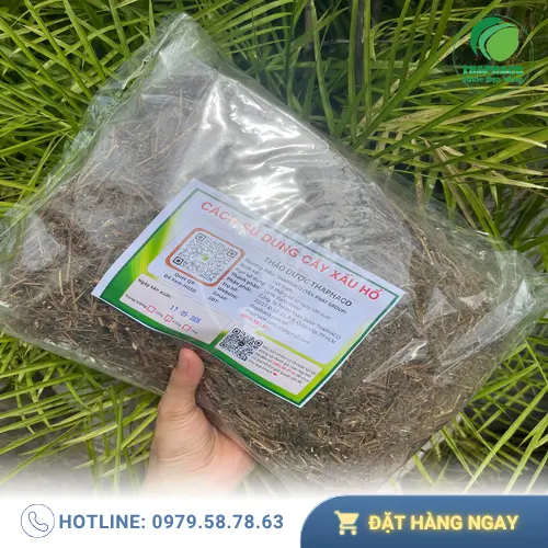 Quy trình đóng gói cây xấu hổ khô tại THAPHACO