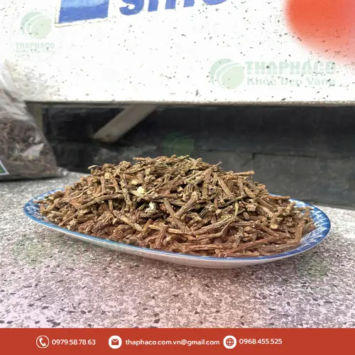 Ý nghĩa của vị đắng trong dược liệu dây thần thông theo y học cổ truyền