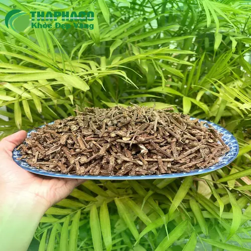 Lưu ý quan trọng khi dùng Dây Thần Thông