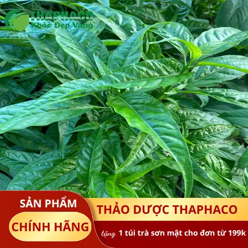 Hoàn ngọc khô chất lượng