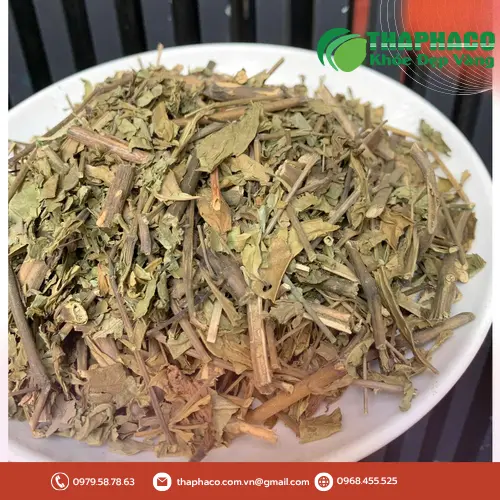 Lá Hoàn Ngọc với đặc điểm hình bầu dục, màu xanh đậm