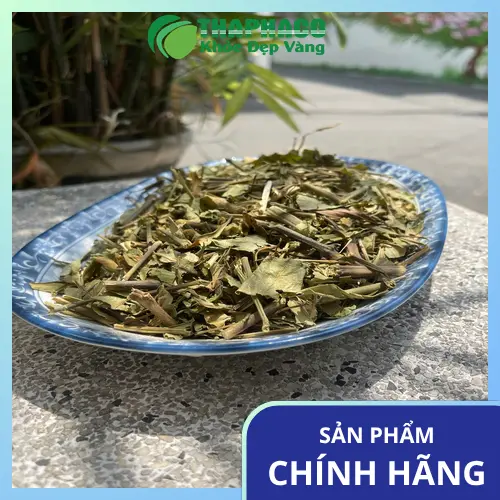 Môi trường bảo quản lá hoàn ngọc khô lý tưởng