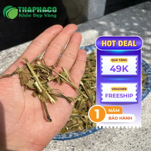 Lá hoàn ngọc khô bị ẩm mốc có dấu hiệu thay đổi màu sắc và mùi