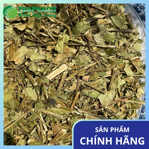 Cách dùng cây Hoàn Ngọc khô để pha trà hoặc sắc nước uống