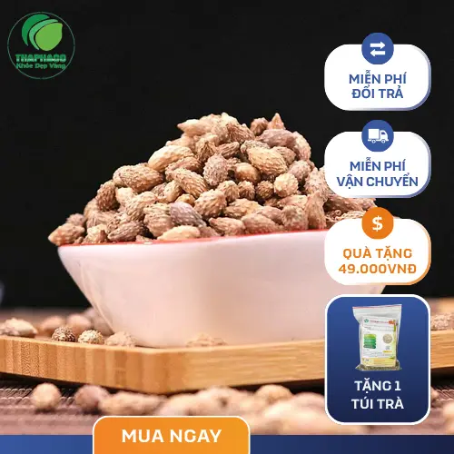 Thương Nhĩ Tử khô được dùng để sắc nước uống