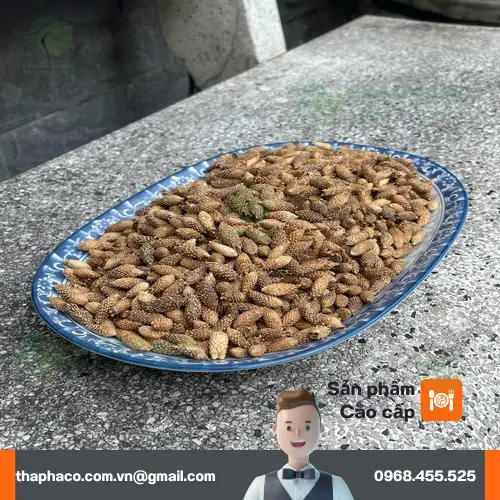 Quy trình sơ chế Thương Nhĩ Tử khô tại Thaphaco