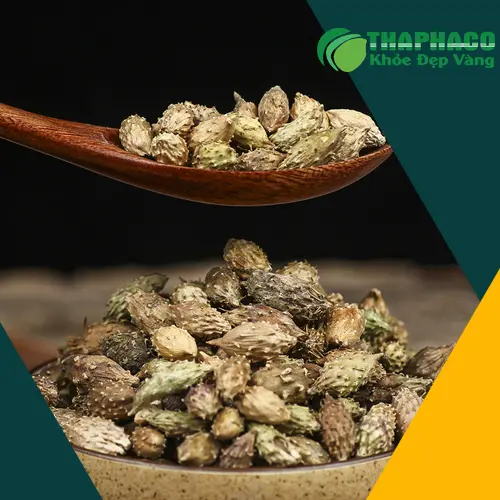 Sản phẩm Thương Nhĩ Tử khô được đóng gói tại Thaphaco