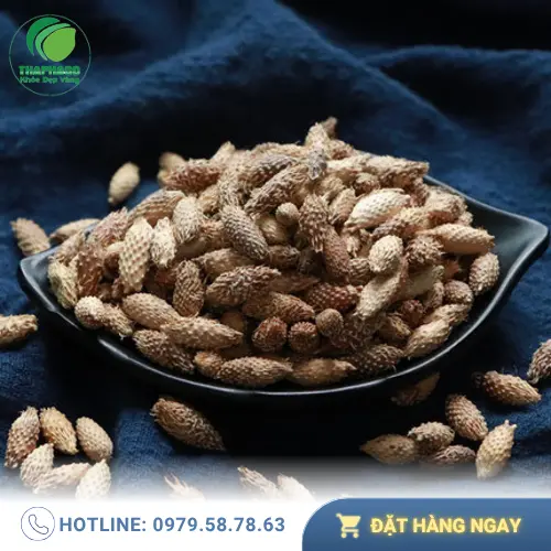 Ké đầu ngựa khô đóng gói chuẩn chỉnh tại THAPHACO