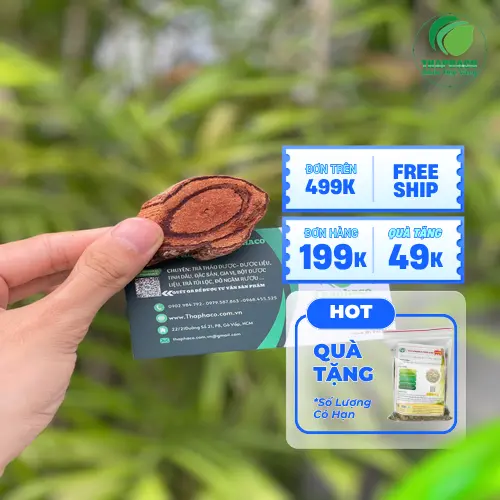 Hình ảnh Kê Huyết Đằng trong chén nước sắc