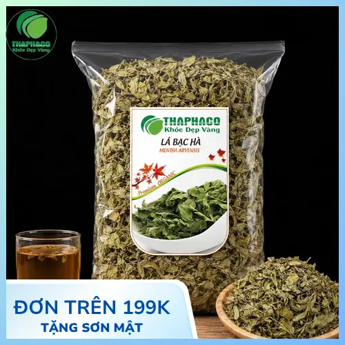 Lá bạc hà tươi nguyên liệu chất lượng cao tại THAPHACO