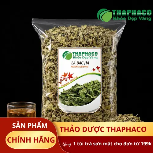 Hình ảnh lá bạc hà tươi