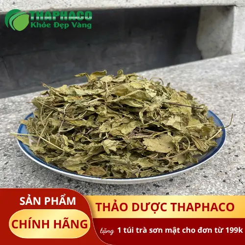 Công dụng lá bạc hà khô