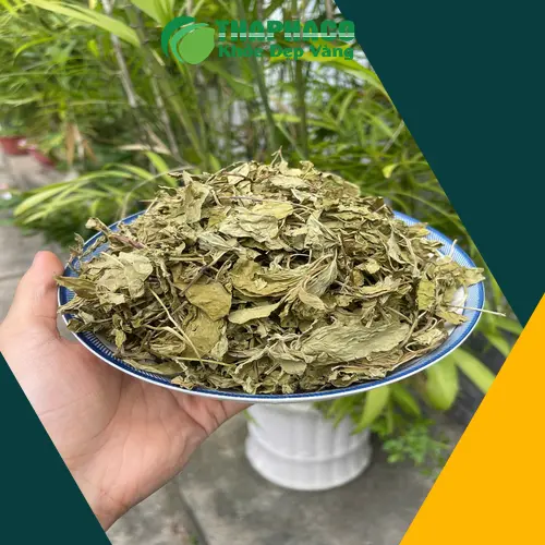 Lá bạc hà khô và tinh dầu bạc hà