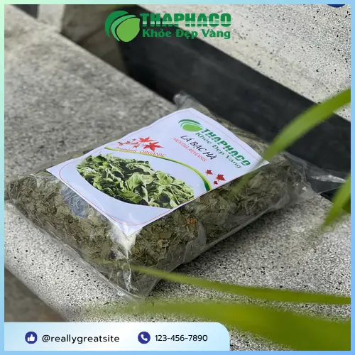 Quy trình đóng gói bạc hà khô THAPHACO