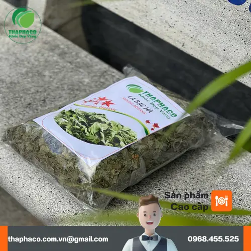 Bác sĩ đang khám cho em bé