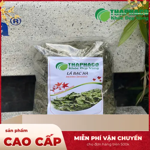 Cách bảo quản lá bạc hà khô