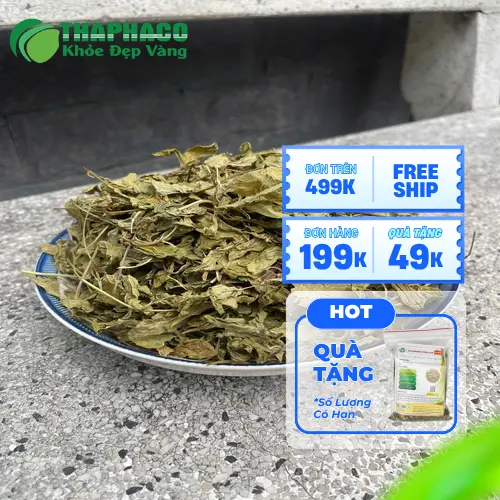 Cách dùng bạc hà khô an toàn