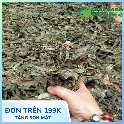 Lá Khôi Tía khô hỗ trợ dạ dày