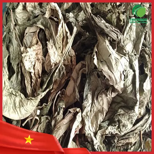 Lá Khôi Tía khô chất lượng, nguồn gốc rõ ràng