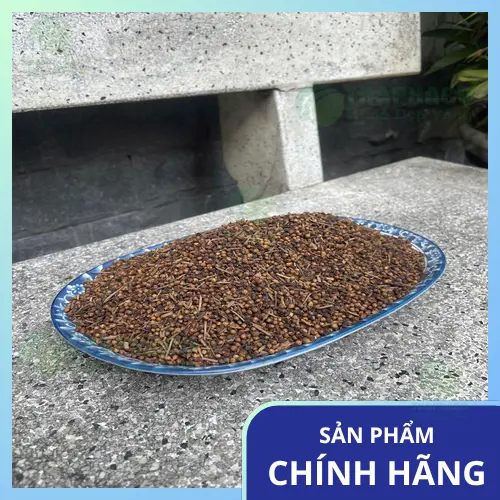 Bác sĩ đang tư vấn cho phụ nữ mang thai