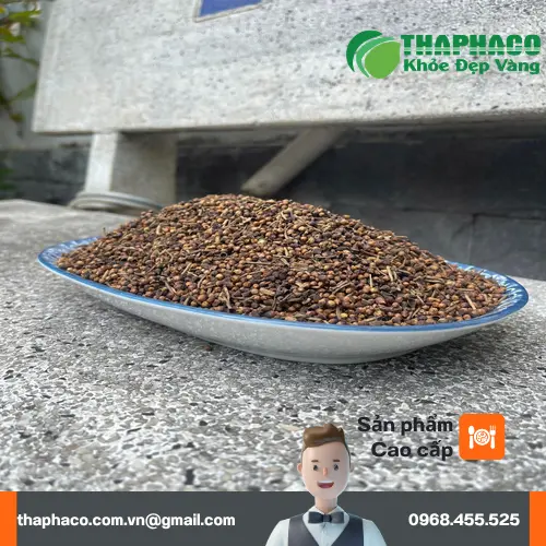Nụ Vối khô đóng gói kỹ lưỡng tại THAPHACO