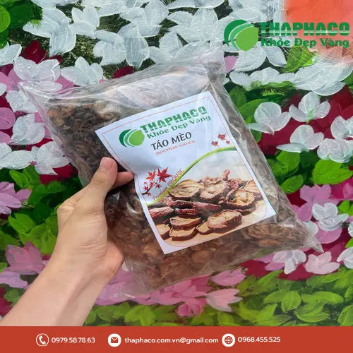 Công dụng hỗ trợ tiêu hóa của Sơn Tra